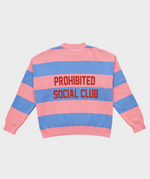 Lade das Bild in den Galerie-Viewer, SC Striped Knit Sweater Bubblegum
